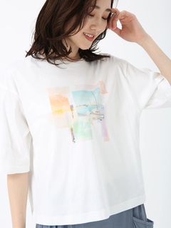 PINORE(ピノーレ) |ドゥーヴィル カット Tシャツ プリントT