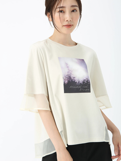 PINORE(ピノーレ) |ファインスムース デザイン Tシャツ カットソー