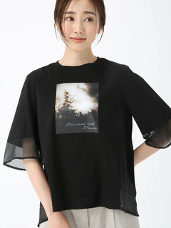 PINORE(ピノーレ) |ファインスムース デザイン Tシャツ カットソー