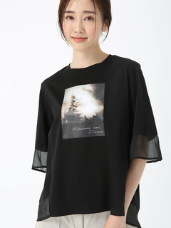 PINORE(ピノーレ) |ファインスムース デザイン Tシャツ カットソー