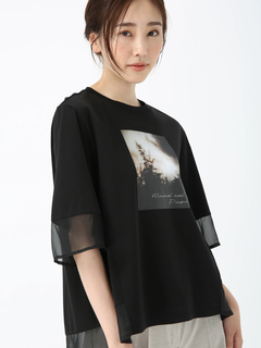 PINORE(ピノーレ) |ファインスムース デザイン Tシャツ カットソー