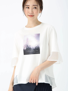 PINORE(ピノーレ) |ファインスムース デザイン Tシャツ カットソー