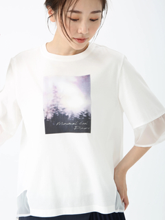 PINORE(ピノーレ) |ファインスムース デザイン Tシャツ カットソー