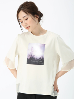 PINORE(ピノーレ) |ファインスムース デザイン Tシャツ カットソー