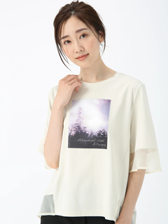 PINORE(ピノーレ) |ファインスムース デザイン Tシャツ カットソー