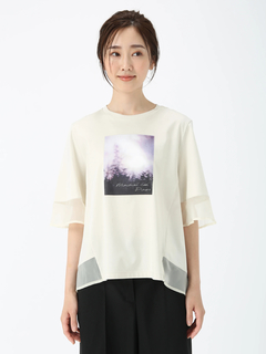 PINORE(ピノーレ) |ファインスムース デザイン Tシャツ カットソー
