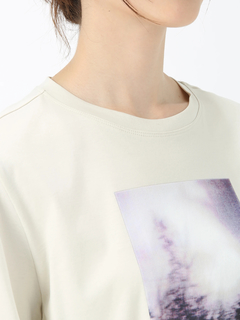 PINORE(ピノーレ) |ファインスムース デザイン Tシャツ カットソー