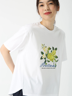 PINORE(ピノーレ) |POSITANO シトラスロゴ カットソー Tシャツ