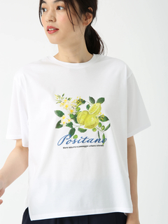 PINORE(ピノーレ) |POSITANO シトラスロゴ カットソー Tシャツ