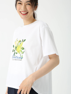 PINORE(ピノーレ) |POSITANO シトラスロゴ カットソー Tシャツ