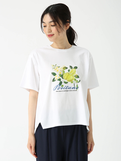 PINORE(ピノーレ) |POSITANO シトラスロゴ カットソー Tシャツ