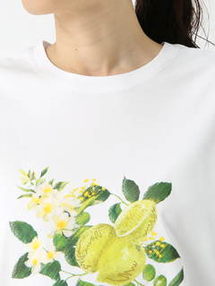 PINORE(ピノーレ) |POSITANO シトラスロゴ カットソー Tシャツ