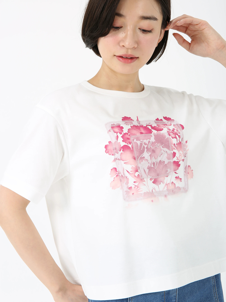 ラメチュールフレーム Ｔシャツ