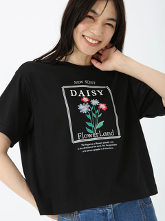 JUDY COLLECTION(ジュディコレクション) |【日本製】DAISY Tシャツ プリントT