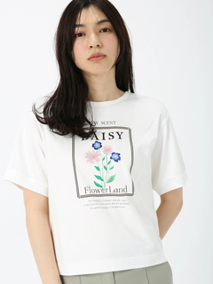 JUDY COLLECTION(ジュディコレクション) |【日本製】DAISY Tシャツ プリントT