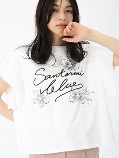 JUDY COLLECTION(ジュディコレクション) |【日本製】サントリーニ Tシャツ プリントT