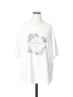 JUDY COLLECTION(ジュディコレクション) |【カタログ掲載】ウィステリアサークル Tシャツ プリントT