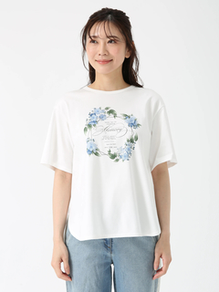 JUDY COLLECTION(ジュディコレクション) |【カタログ掲載】ウィステリアサークル Tシャツ プリントT