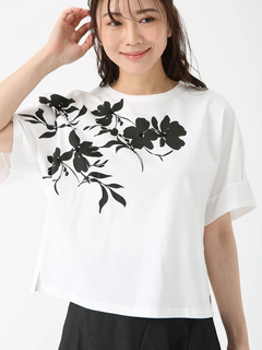 ピノーレ　オシャレトップス PINORE(ピノーレ)｜トップス アイテム一覧｜.K online（ドットケイ