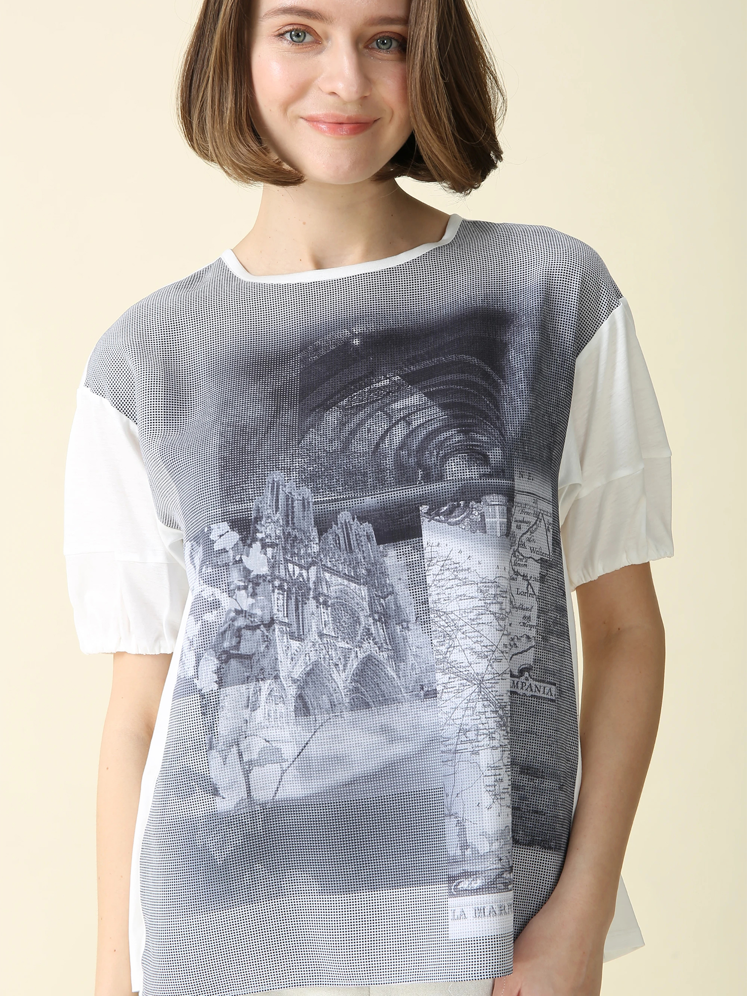 カタログ掲載】【日本製】パリスプリント カットソー Tシャツ